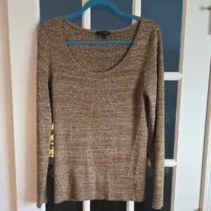 Ann Taylor Brown With Silver Sweater